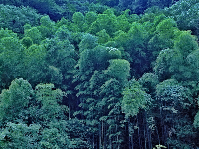 干净坏境 干净坏境