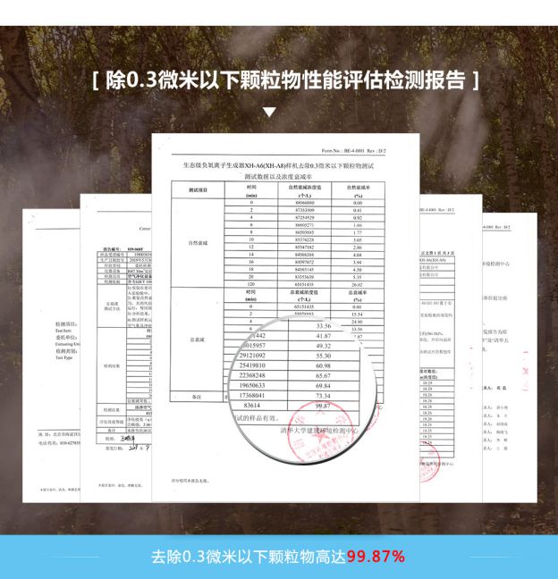 负离子 负离子