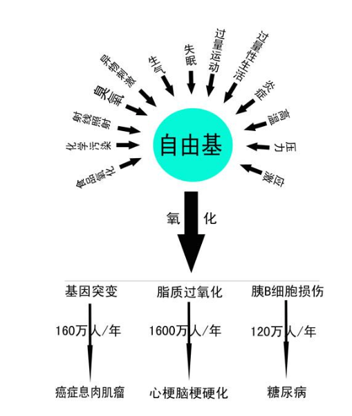 负氧离子抗衰老 负氧离子抗衰老