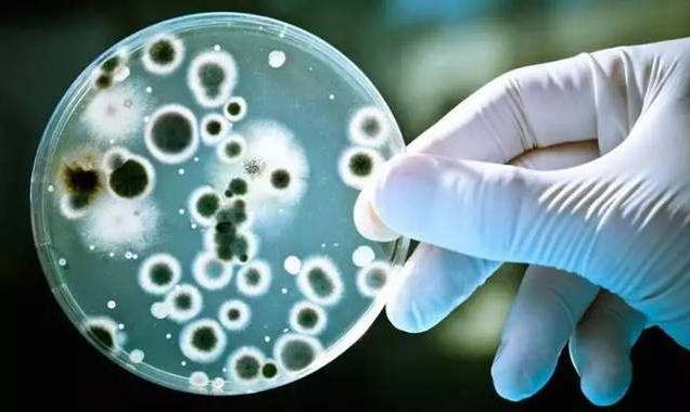 针对负氧离子如何提高免疫力的研究,临床数据是最好的证明 针对负氧离子如何提高免疫力的研究,临床数据是最好的证明