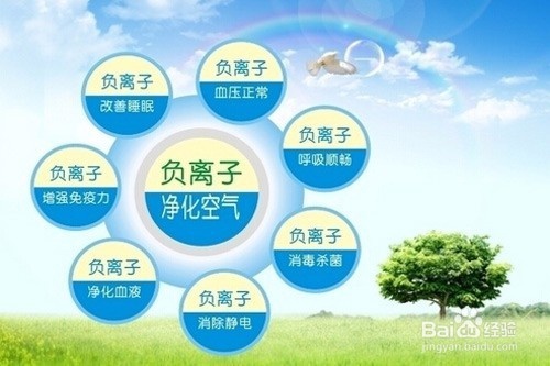 呼吸高浓度负离子来提升免疫力,已经成为医学界的共识,也逐渐被大众认可 呼吸高浓度负离子来提升免疫力,已经成为医学界的共识,也逐渐被大众认可