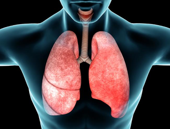 负离子对呼吸系统疾病的作用机理